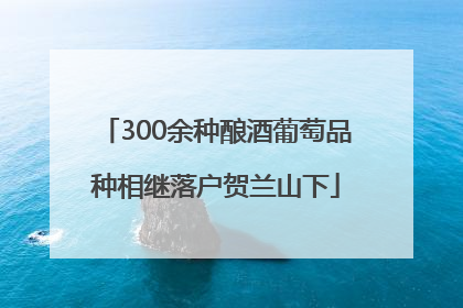 300余种酿酒葡萄品种相继落户贺兰山下