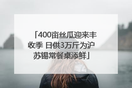 400亩丝瓜迎来丰收季 日供3万斤为沪苏锡常餐桌添鲜