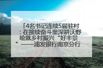 4名书记连续5届驻村：在接续奋斗里深耕沃野 绘就乡村振兴“好丰景”——浦发银行南京分行助力脱贫攻坚、帮促乡村振兴记事（二）