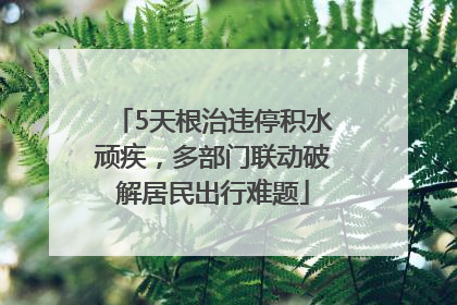 5天根治违停积水顽疾，多部门联动破解居民出行难题