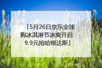 5月26日京东全球购冰淇淋节冰爽开启 9.9元抢哈根达斯