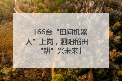 66台“田间机器人”上岗，泗阳稻田“耕”兴未来