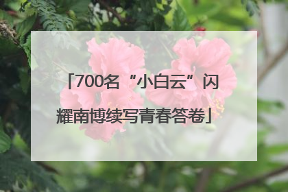 700名“小白云”闪耀南博续写青春答卷