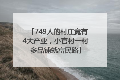749人的村庄竟有4大产业，小官村一村多品铺就富民路