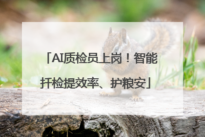 AI质检员上岗！智能扦检提效率、护粮安