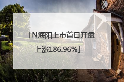 N海阳上市首日开盘上涨186.96%