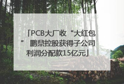 PCB大厂收“大红包” 鹏鼎控股获得子公司利润分配款15亿元