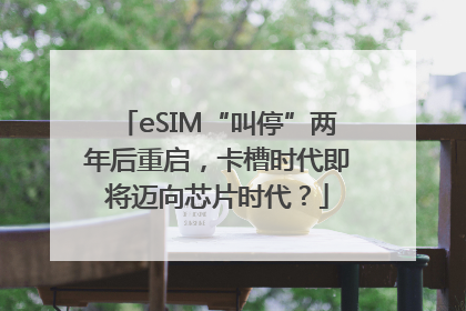 eSIM“叫停”两年后重启，卡槽时代即将迈向芯片时代？